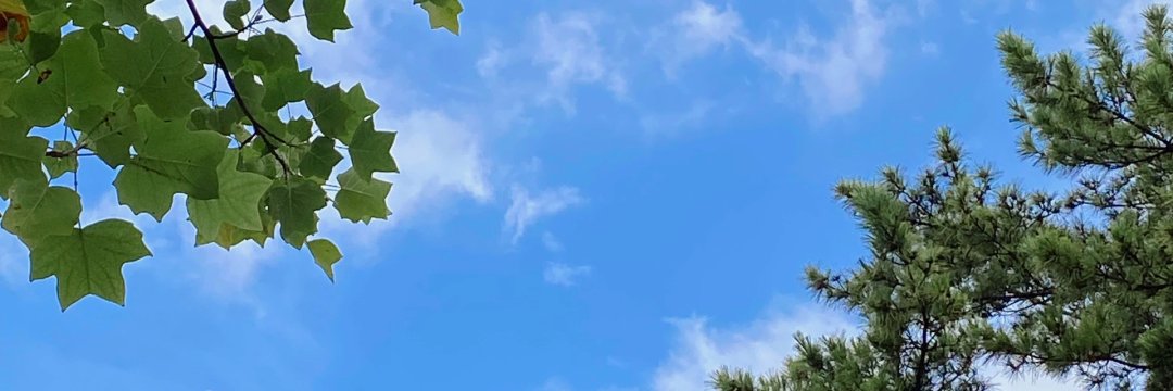 Aami0817's profile banner image