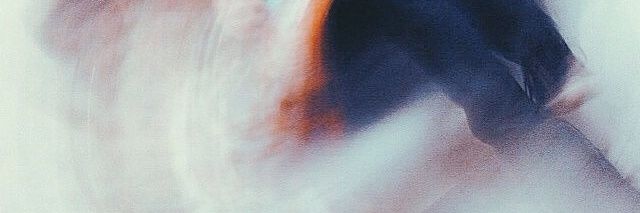 tadavisLDR's profile banner image