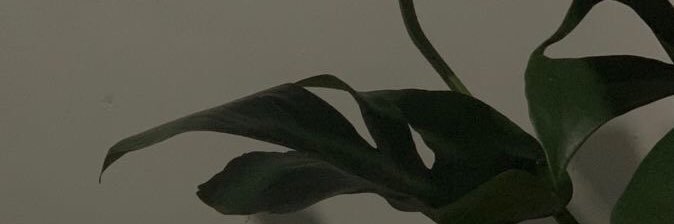 sammachate's profile banner image