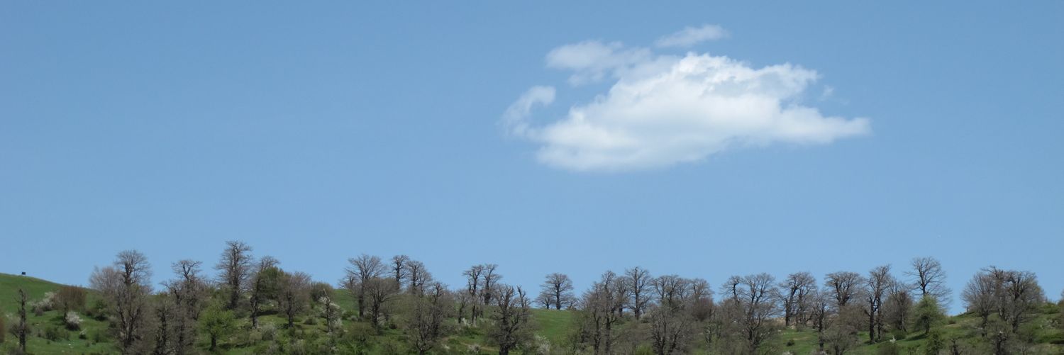 Bahramtwo536's profile banner image