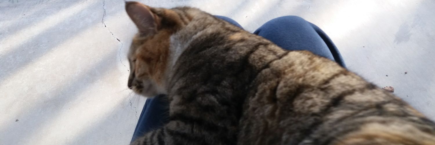 deeming__'s profile banner image