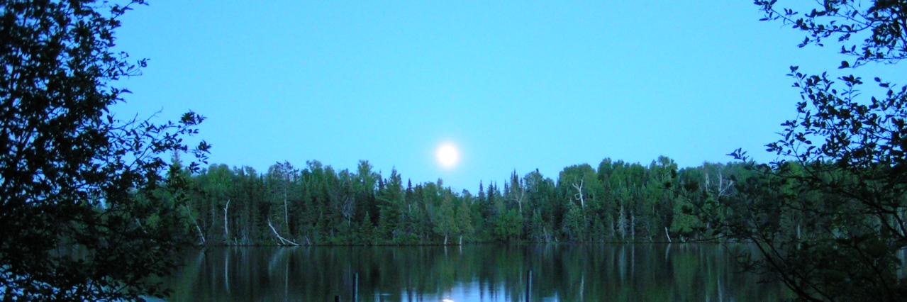 StevePellinen's profile banner image