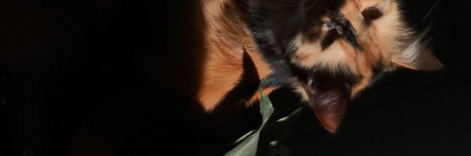 orianisima_'s profile banner image