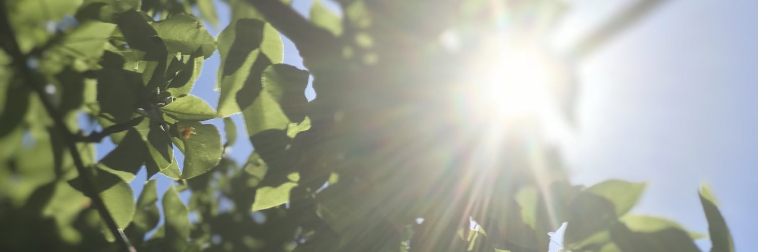 leah682__'s profile banner image