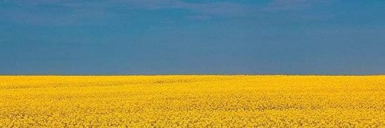 corday serge banner