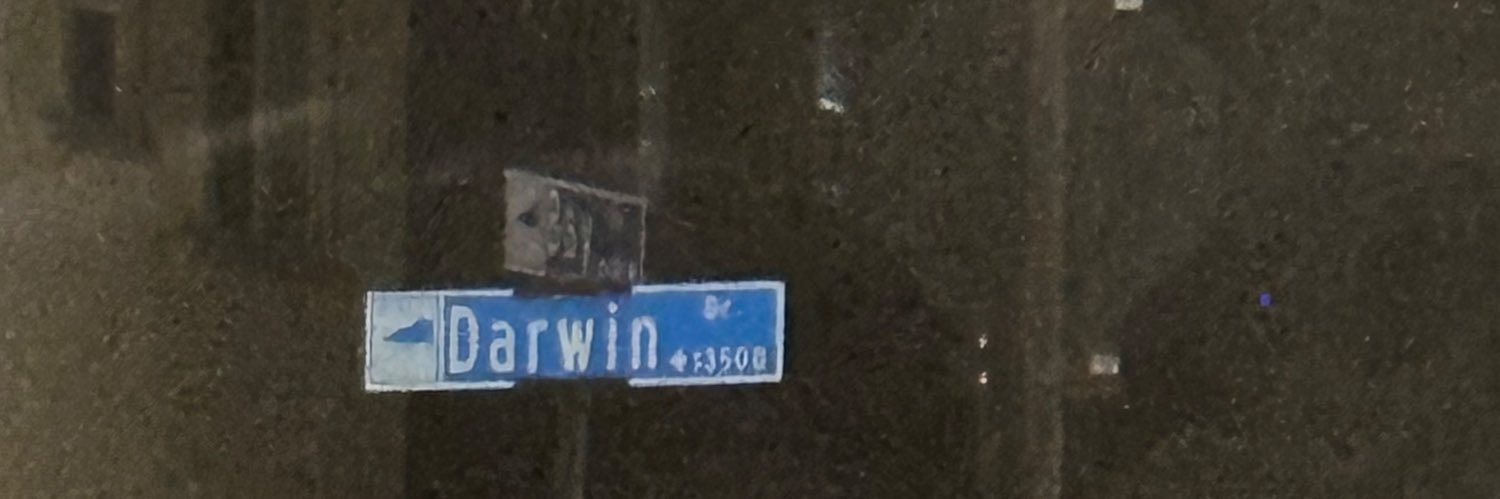 D_Leeew's profile banner image