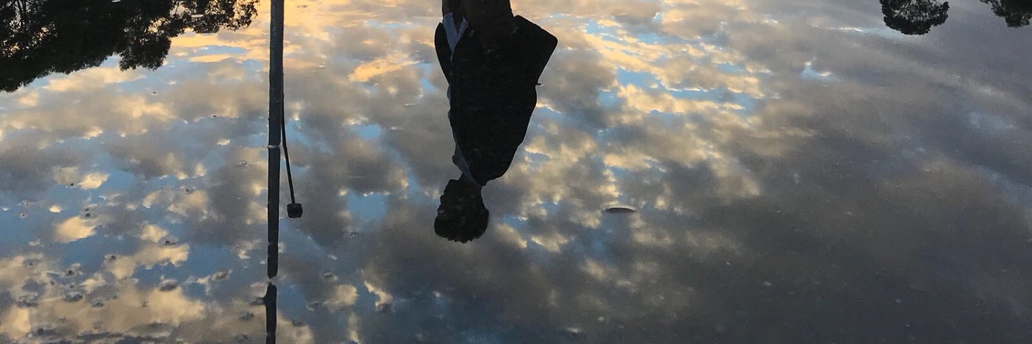 Veothesta's profile banner image