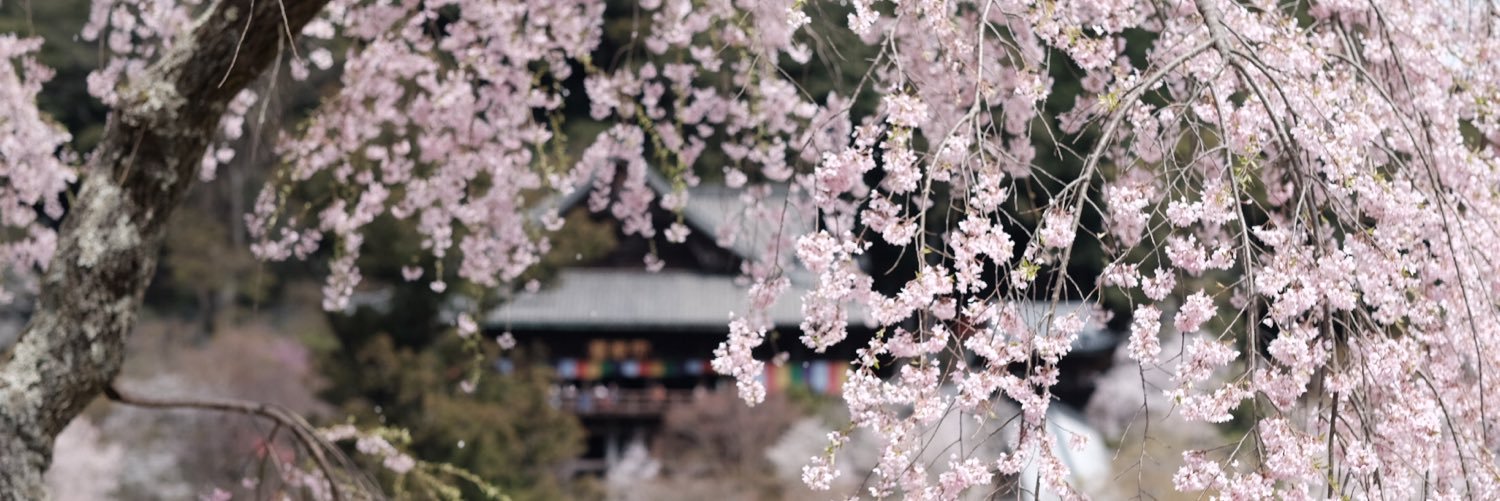 hase_dera's profile banner image