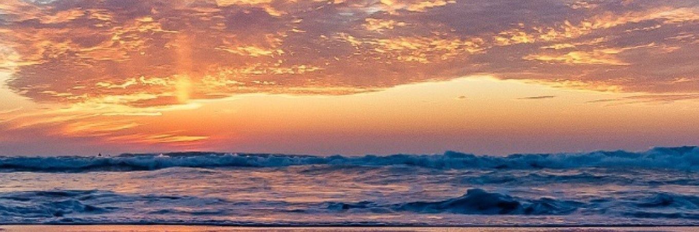Kiaranewells3's profile banner image