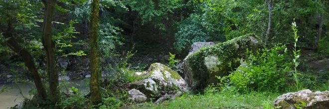 J_Ronaldson's profile banner image