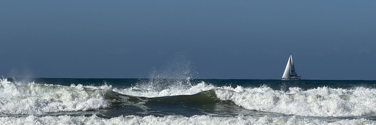 Tomer Simon, PhD banner