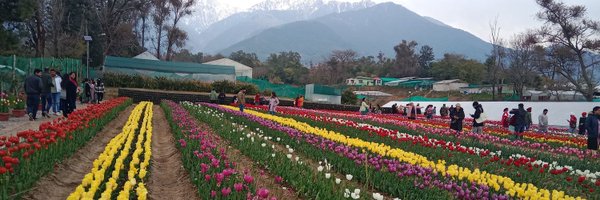 HumHaiHimachali Profile Banner