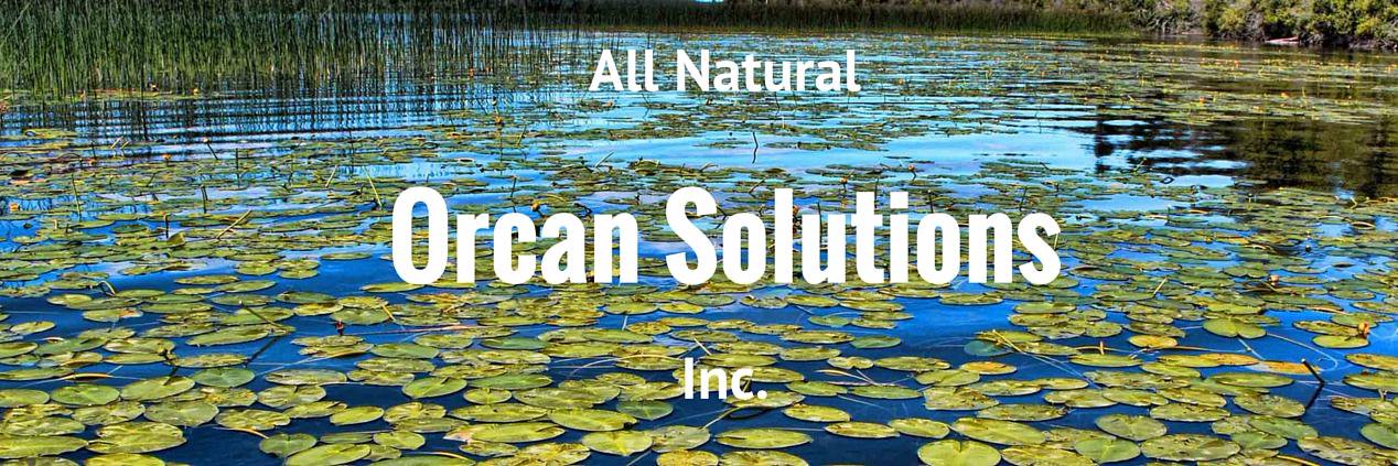 OrcanSolutions's profile banner image