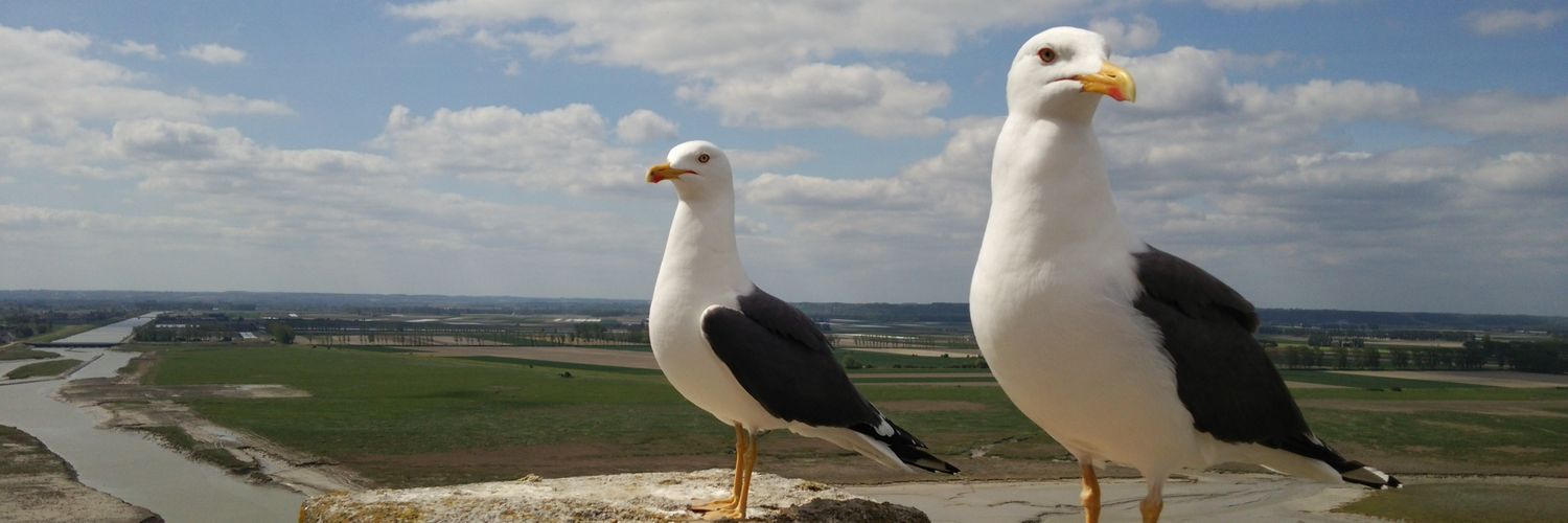 uveraitover's profile banner image