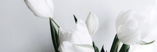 lockhartlife's profile banner image