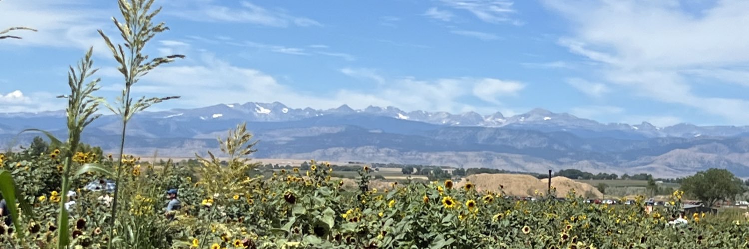 Writer Lisa Payne banner