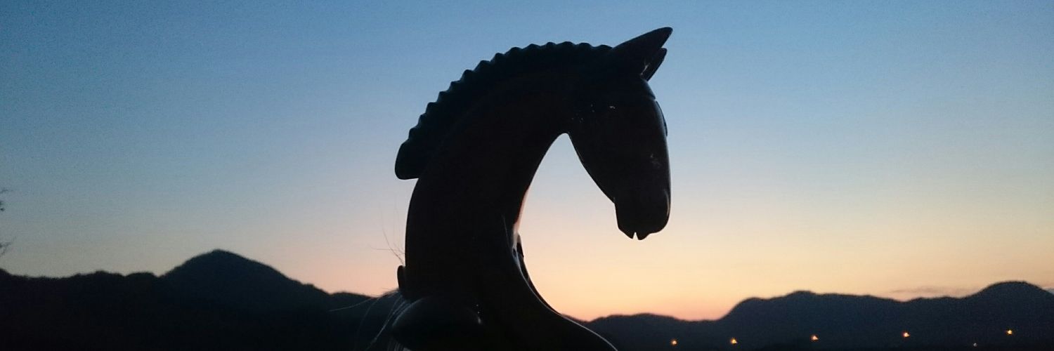 dragon_aikimon's profile banner image