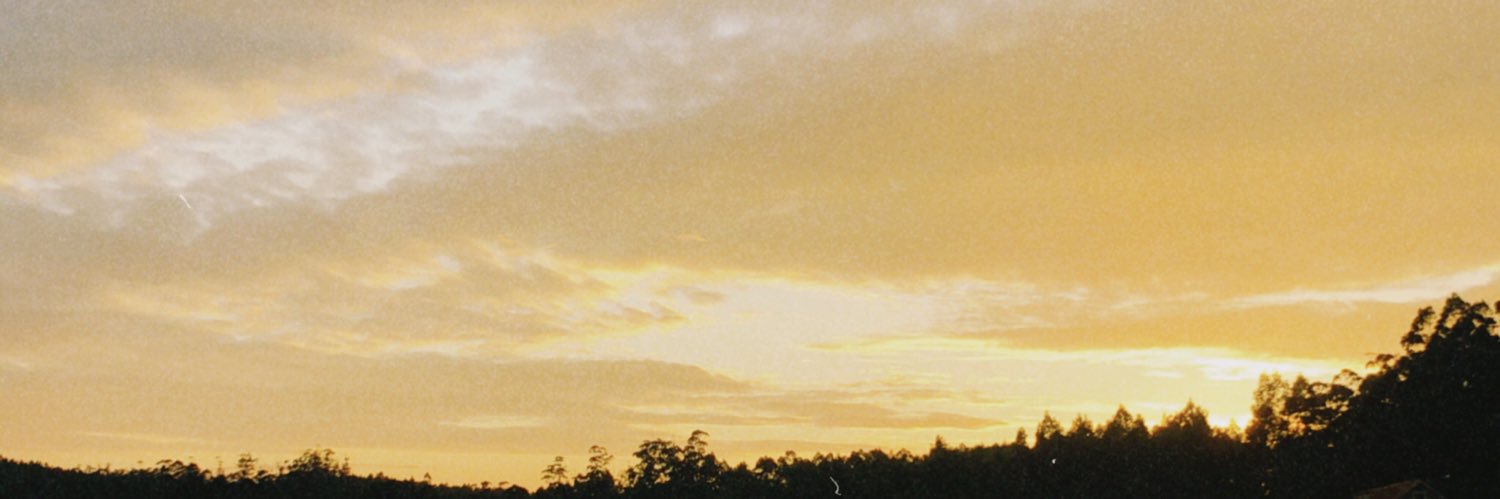 andrearogz's profile banner image