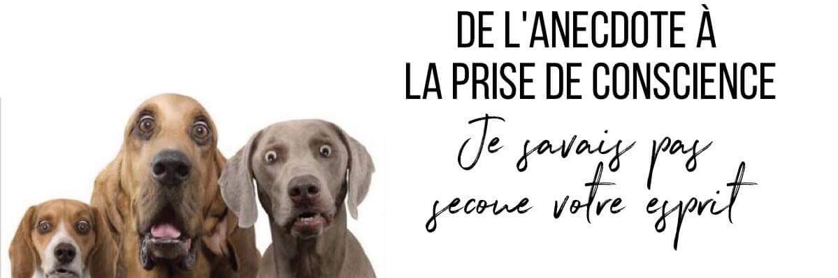 PasSavais's profile banner image
