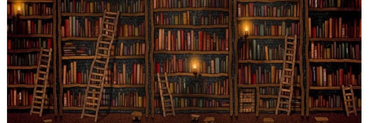 mervesevil39's profile banner image