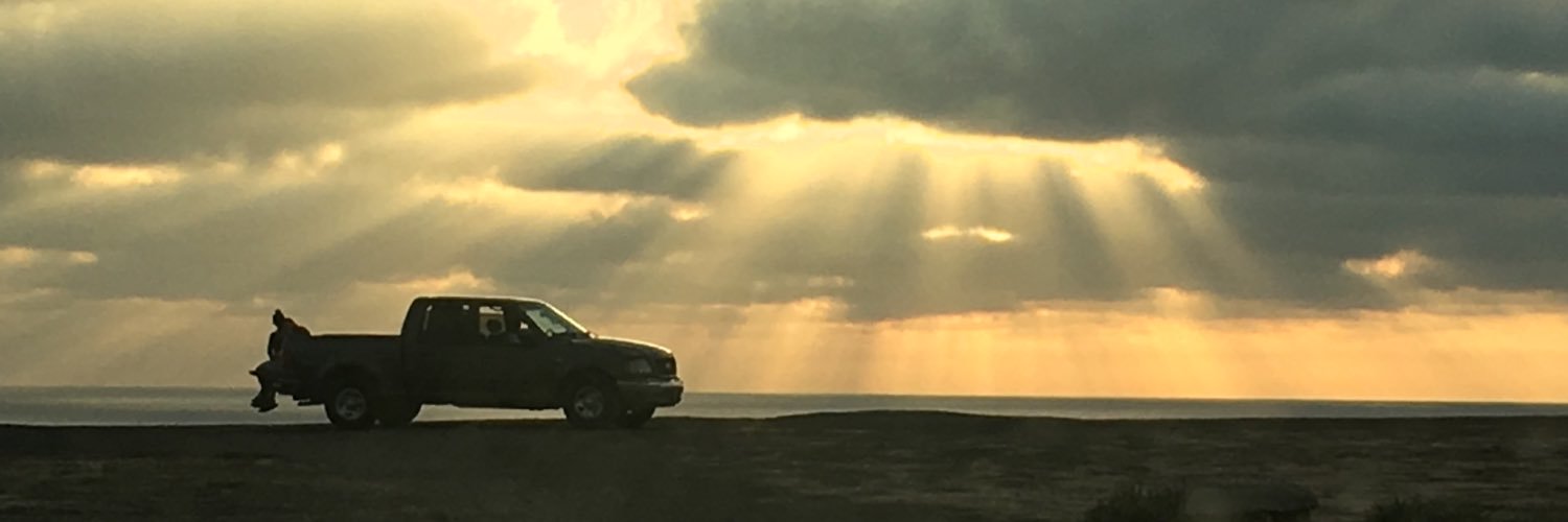 Multiplefirsts's profile banner image
