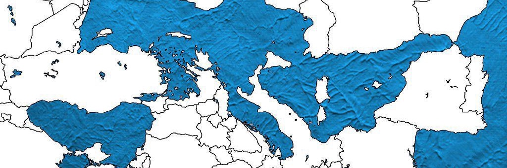 Giuseppe Campesi banner