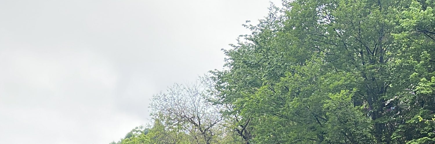 رداد المسيلي banner