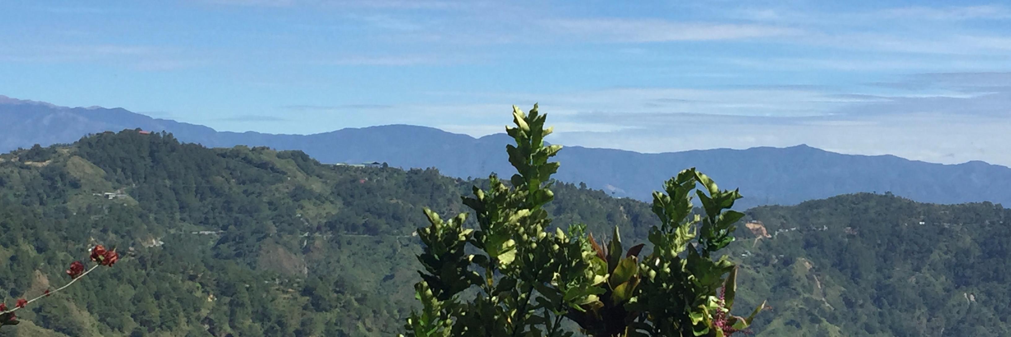 Anderson Clark banner