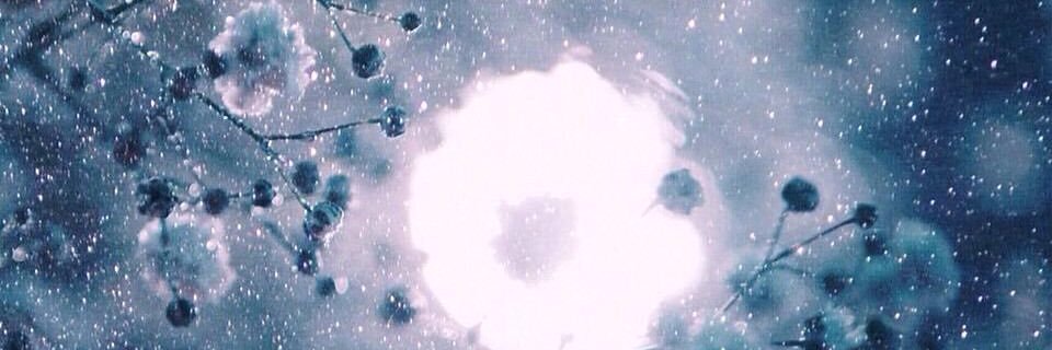 sp__rng's profile banner image