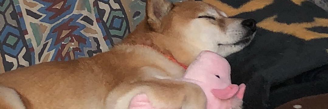 jpshammer's profile banner image