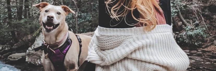 Danibirdxx's profile banner image