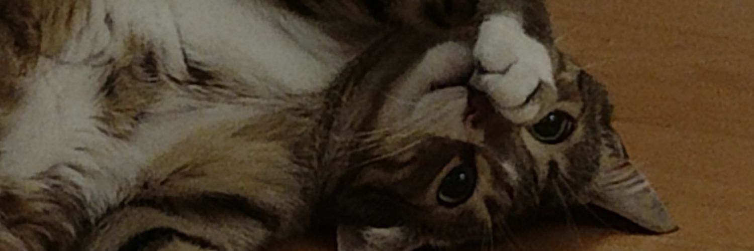 Vahiid's profile banner image