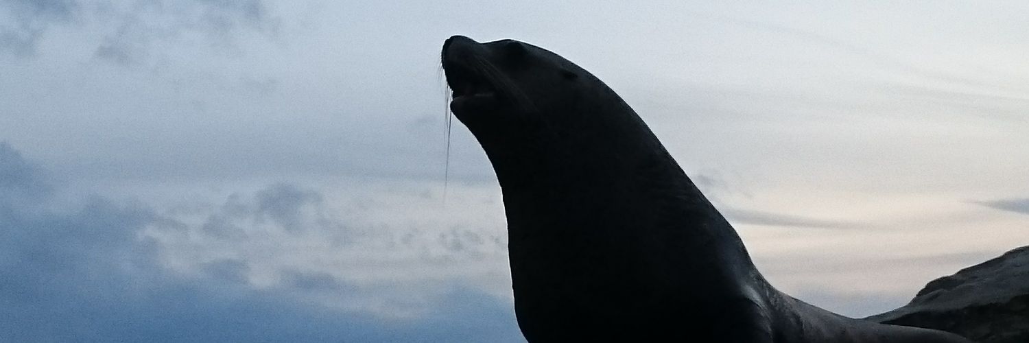 korunikus's profile banner image