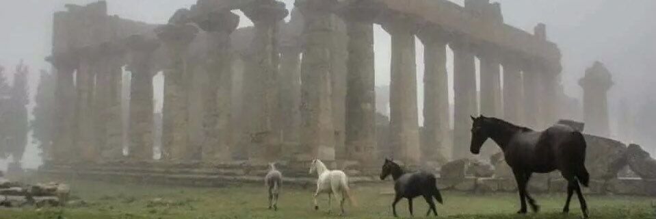 Alfonso Casado ♣️ banner