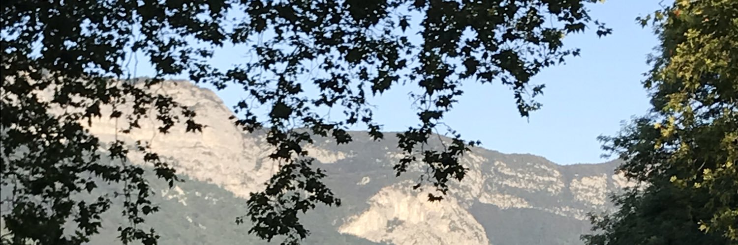 MarineArv's profile banner image