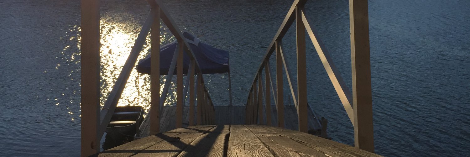 bmoore__silly__'s profile banner image