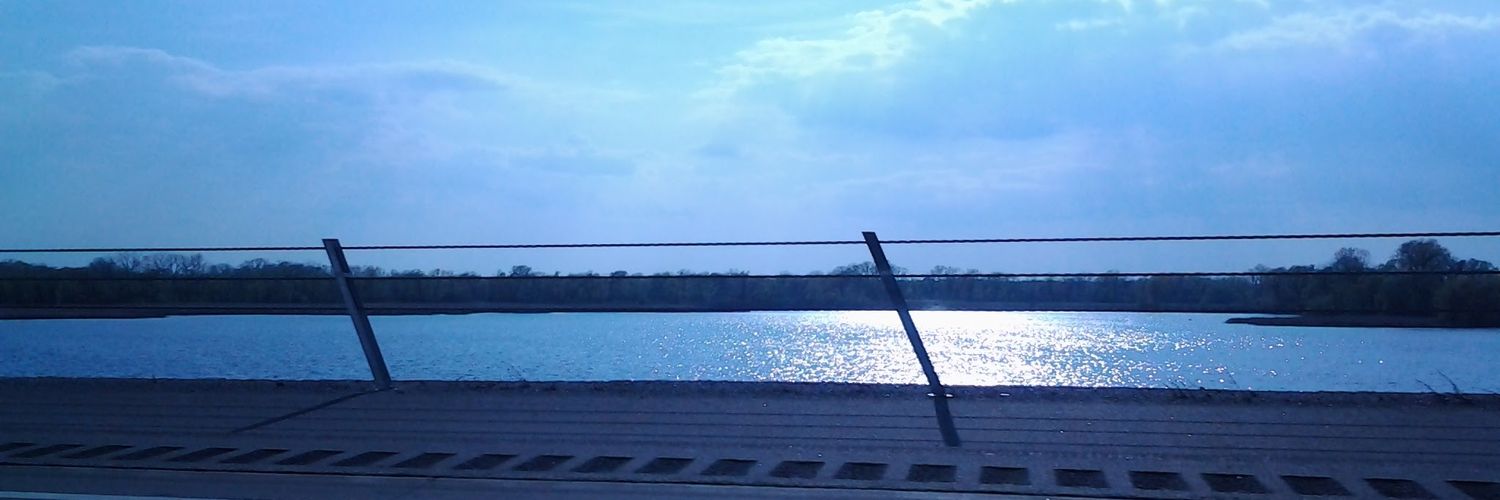 dolphinsblu's profile banner image