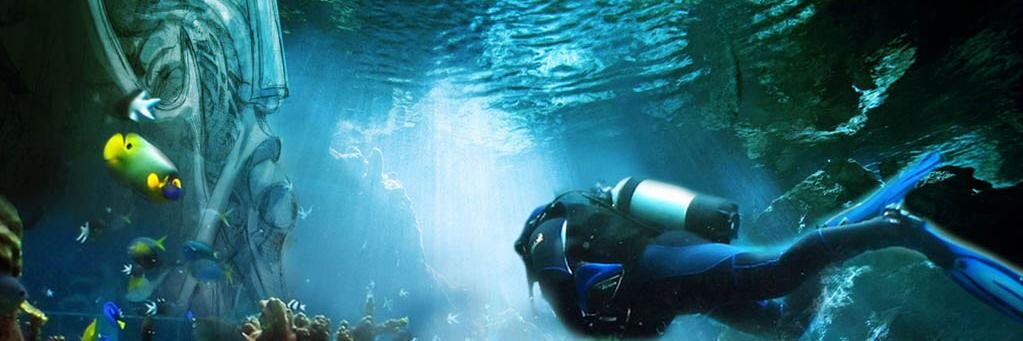 reefworlds's profile banner image