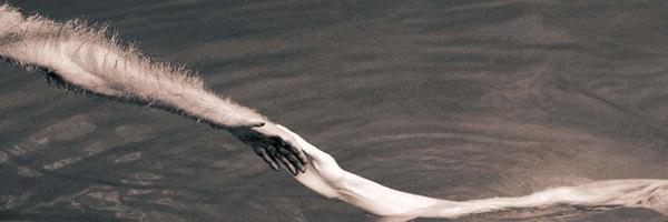 LilaFlw Profile Banner