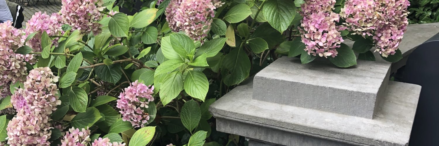 Layla alshami 👩🏻‍🎨🎨 banner