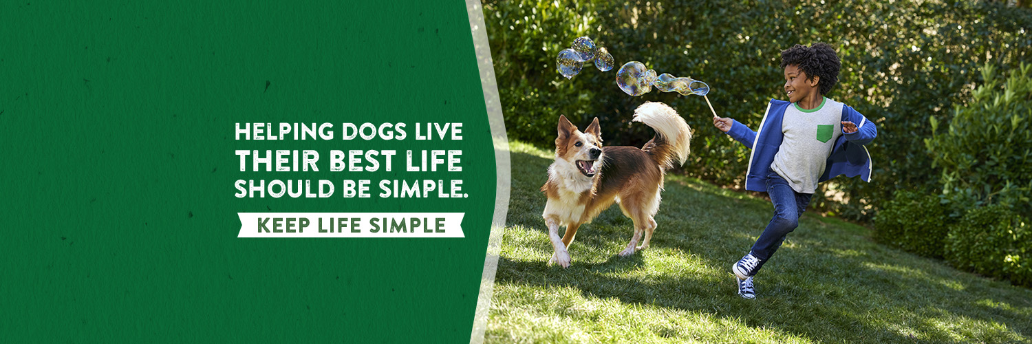 Purina Dog Chow banner