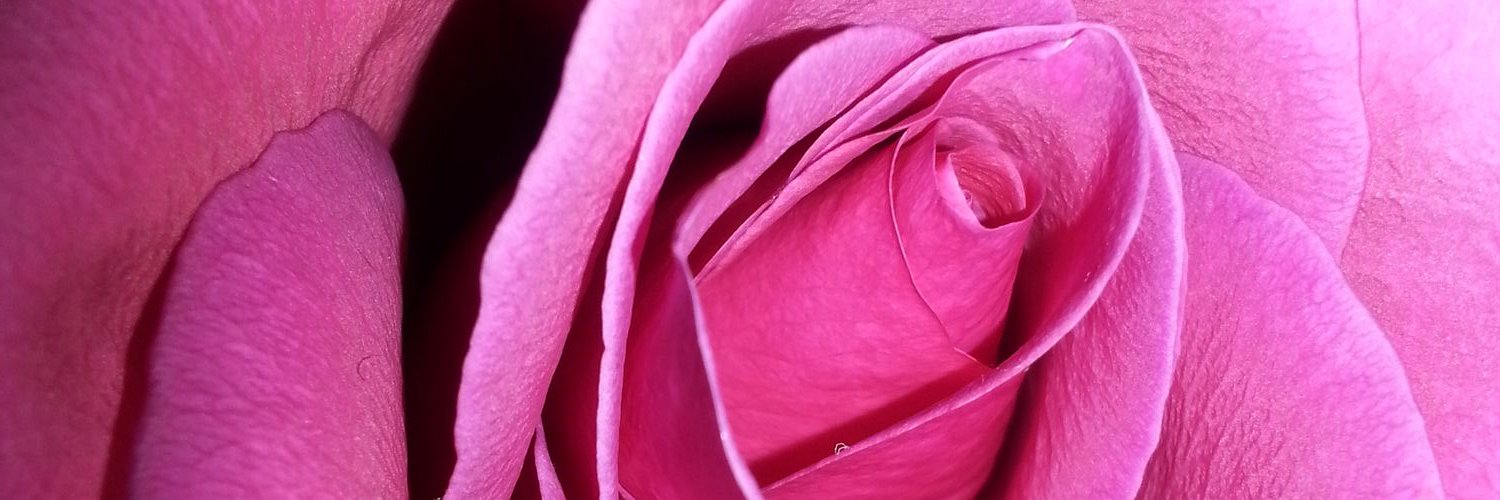 crunchy_247's profile banner image