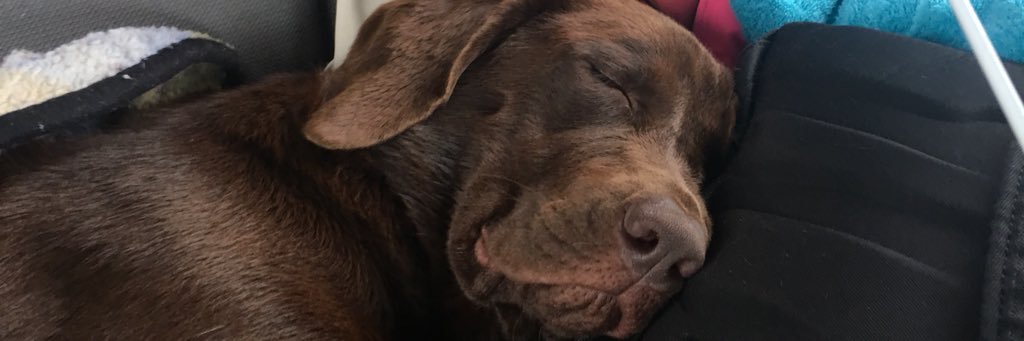 Hannah_Walker16's profile banner image