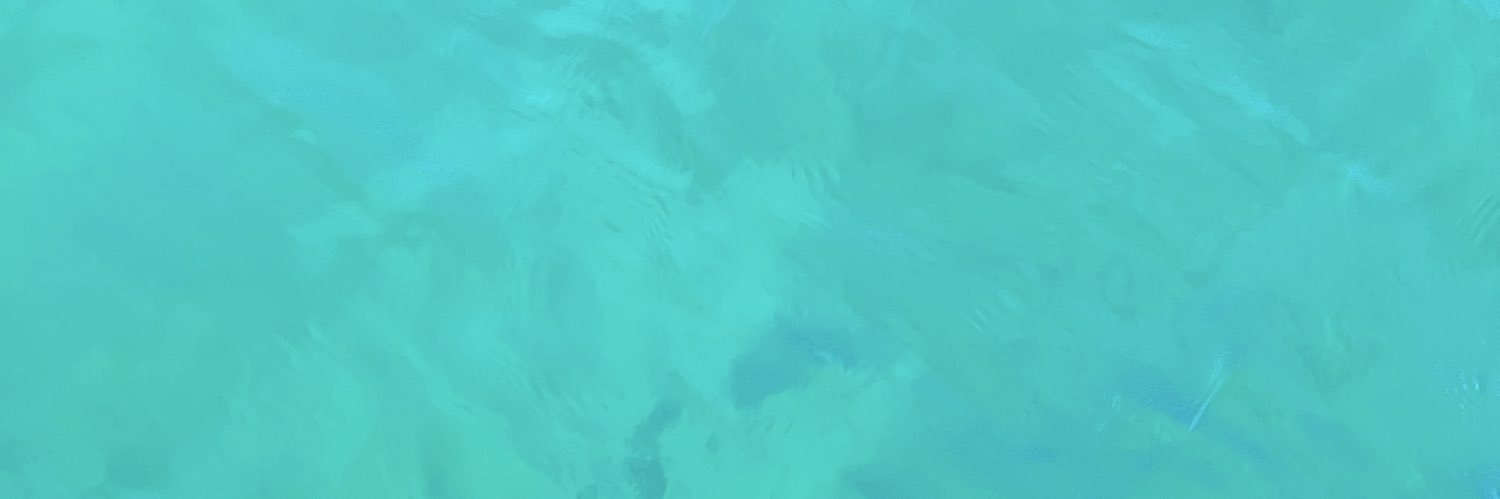 Giadashallala's profile banner image