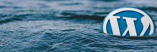 WordPress31's profile banner image