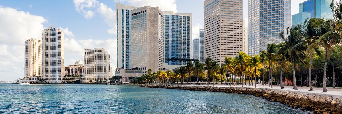 Taylor Vippolis banner