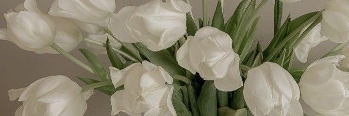 afrah_zhr's profile banner image