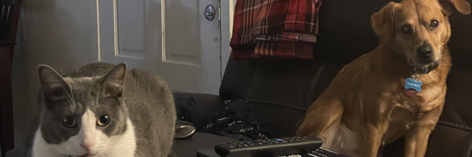 carmelamz's profile banner image