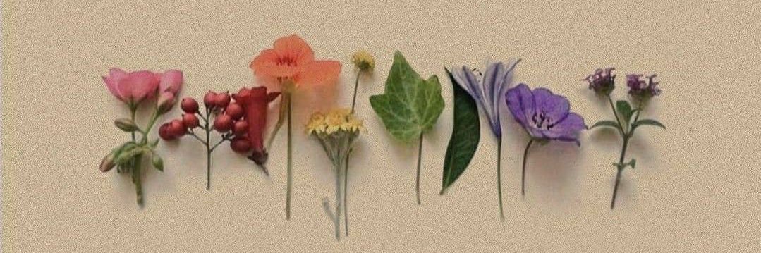 سمو التميمي 🇸🇦 banner