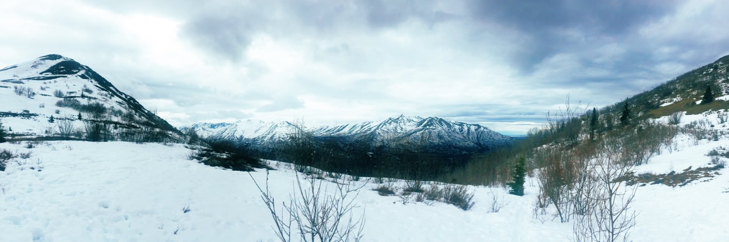 AHolliso's profile banner image